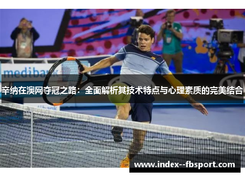 辛纳在澳网夺冠之路：全面解析其技术特点与心理素质的完美结合