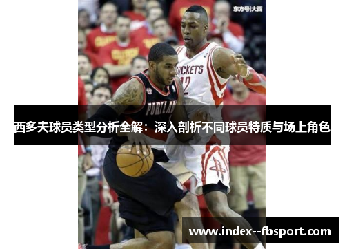 西多夫球员类型分析全解：深入剖析不同球员特质与场上角色